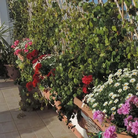 فندق مبيت وإفطار Il Bacio Di Capri أناكابْري