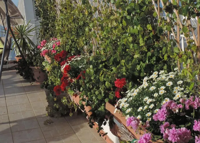 Bed & Breakfast Il Bacio Di Capri Anacapri (Isola di Capri)